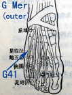 acupuncture acupressure Gallbladder meridian points G41